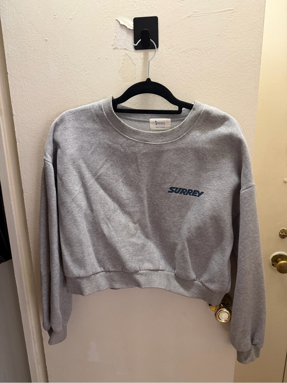 Women's Vintage Gray Cropped Crewneck Sweatshirt